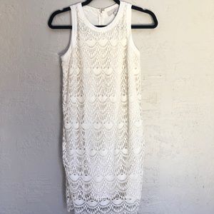 LOFT 00 Ivory Knit Shift Dress